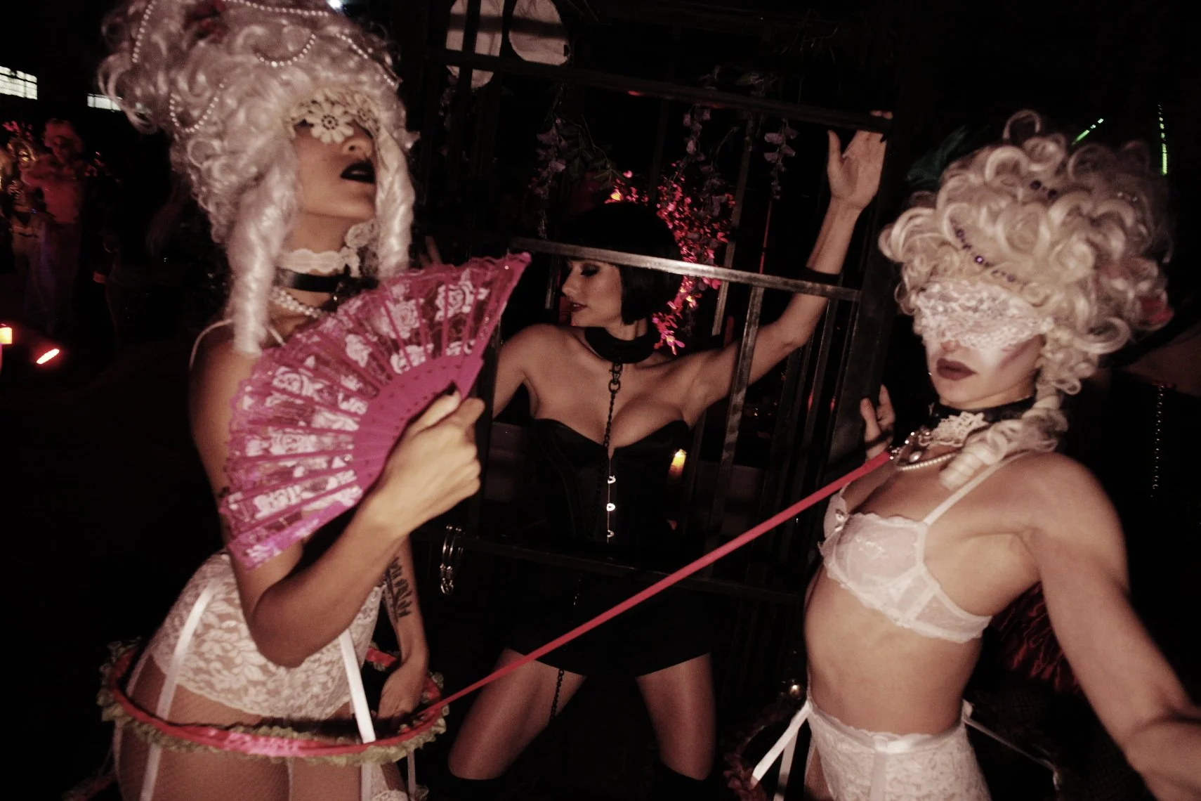 Vox noct Oct  2016-0761 Done 2.JPG