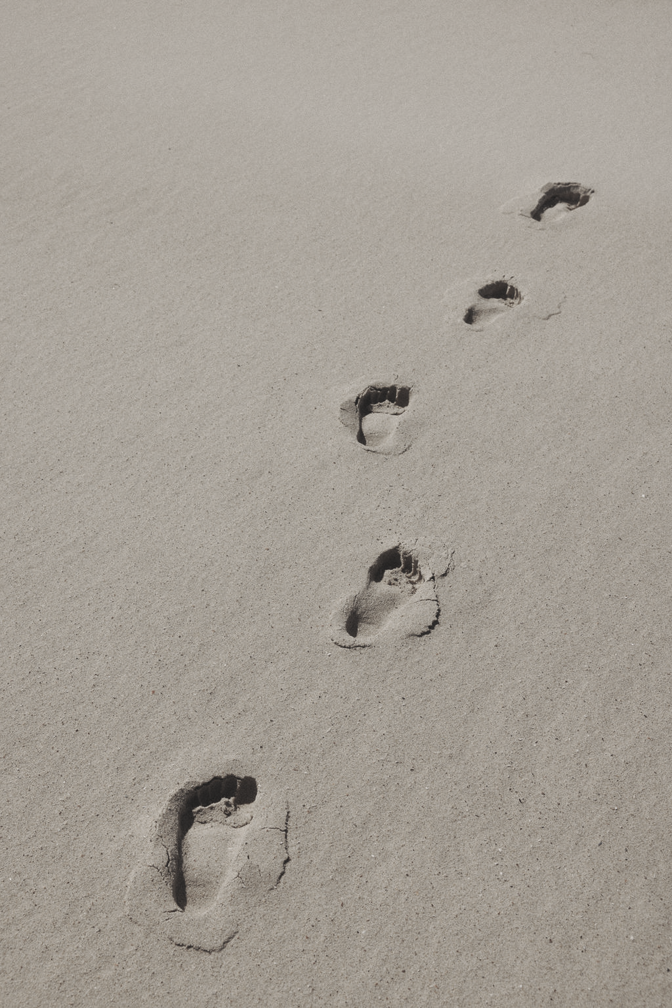 Anxiety therapy in West Los Angeles for adults and college students.