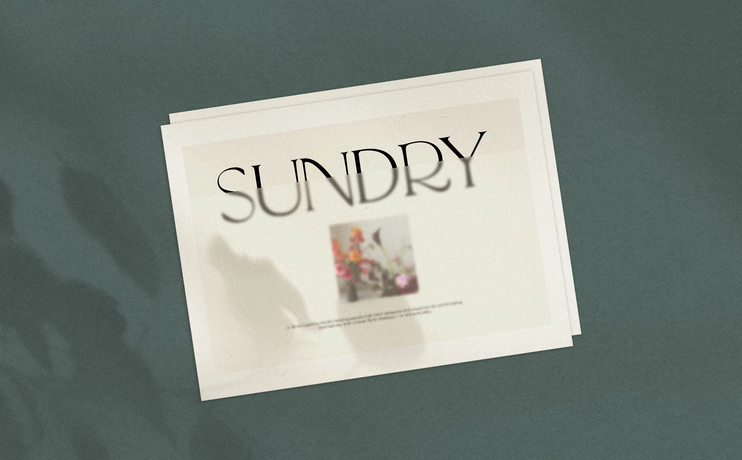 SUNDRY-Portfolio-_Banner.jpg