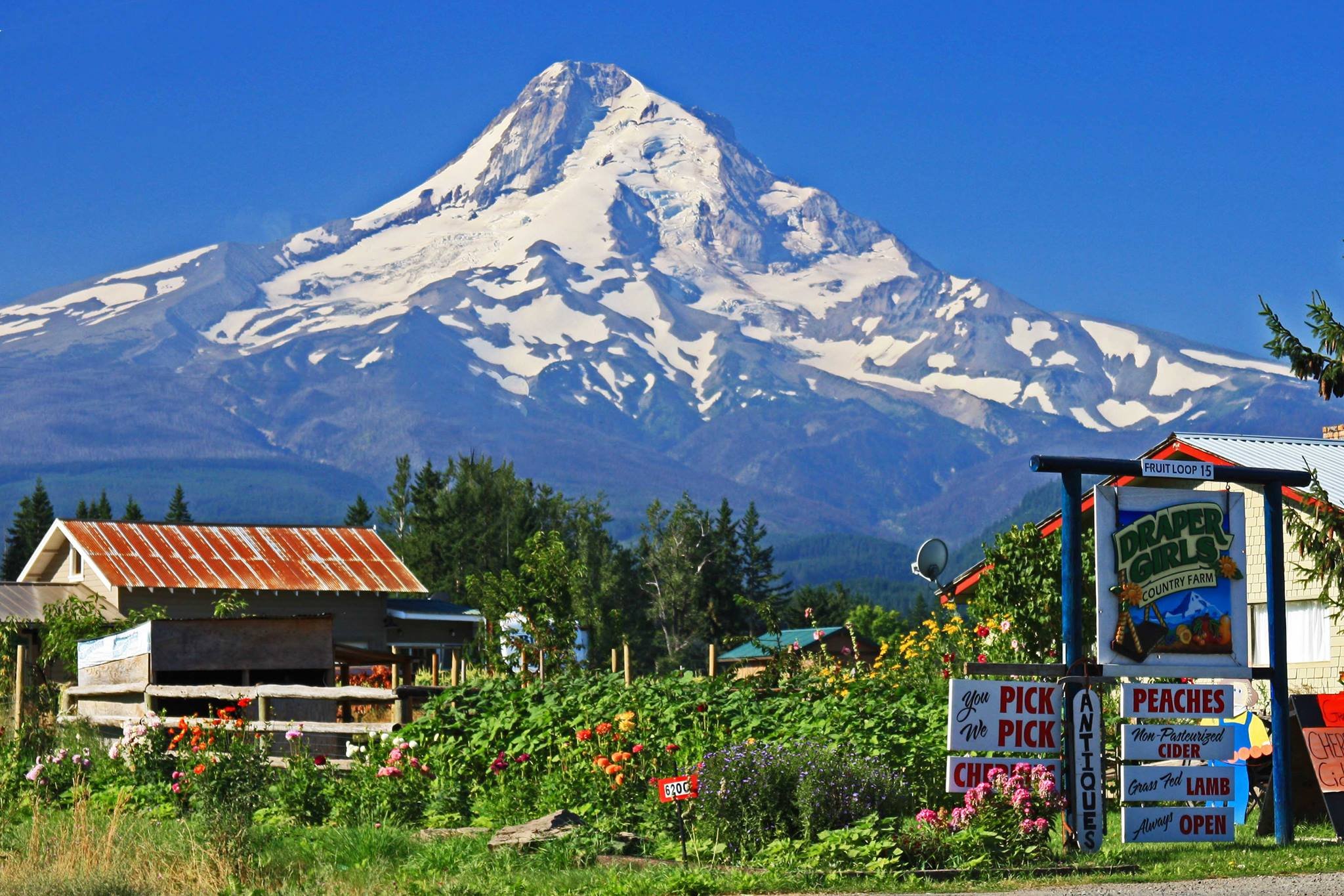 Hood River Cider Fest