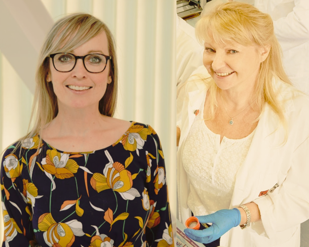 News & Opportunities — AHRA Women's Health Research, Translation and