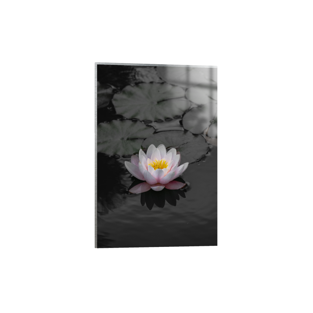 ptq_13_3_0_3_2206_3309_0_false_ffffff_0_0_.png