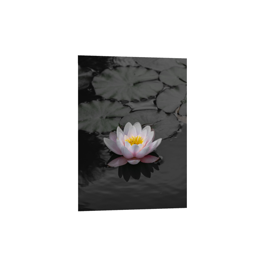 ptq_34_7_0_113_2206_3088_0_false_ffffff_0_0_.png