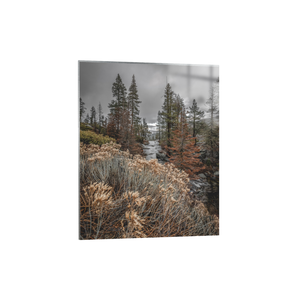 ptq_13_6_0_444_3512_4390_0_false_ffffff_0_0_.png
