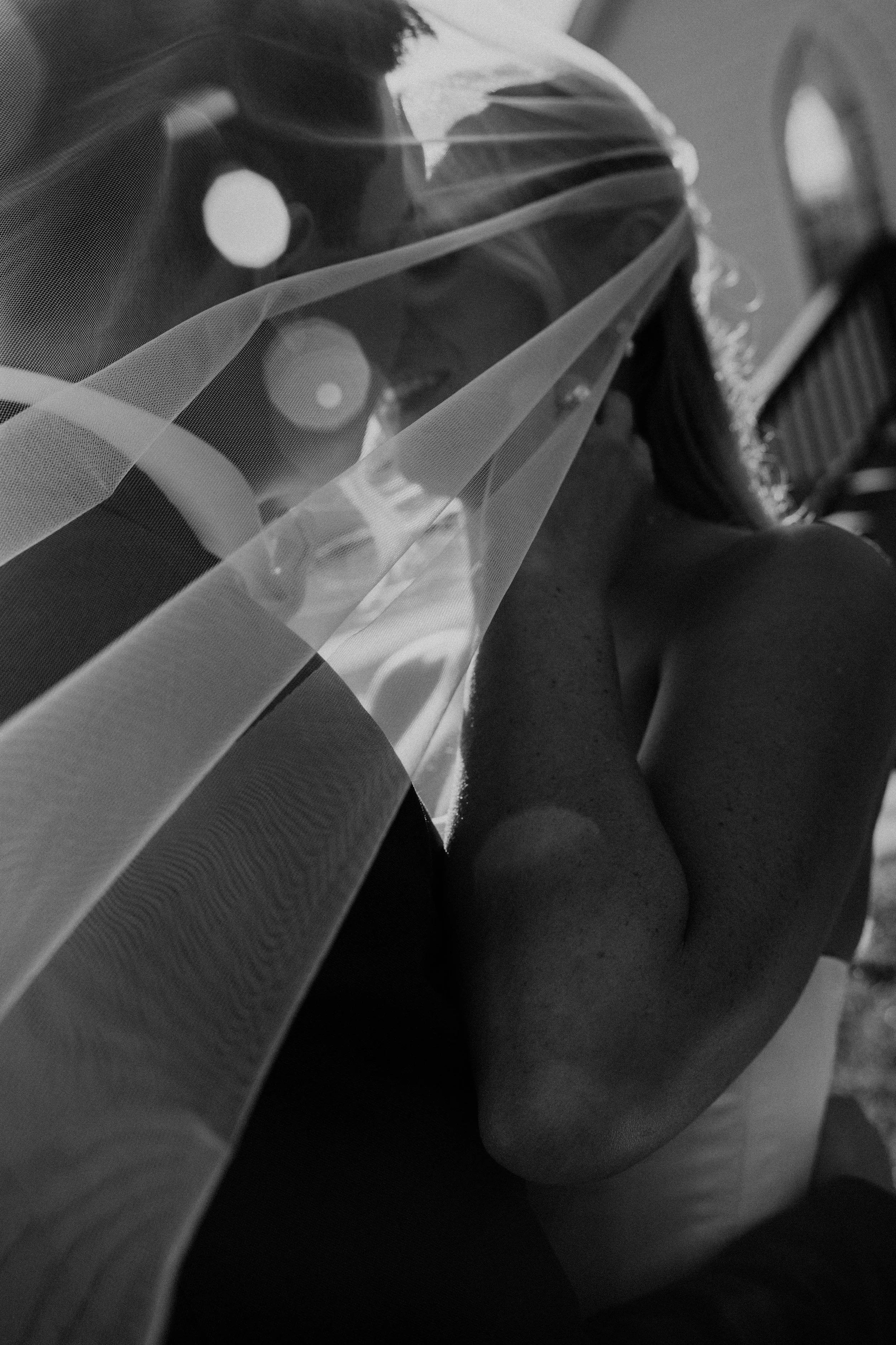 bride and groom under veil springfield wedding photographer sparrow lane willard 