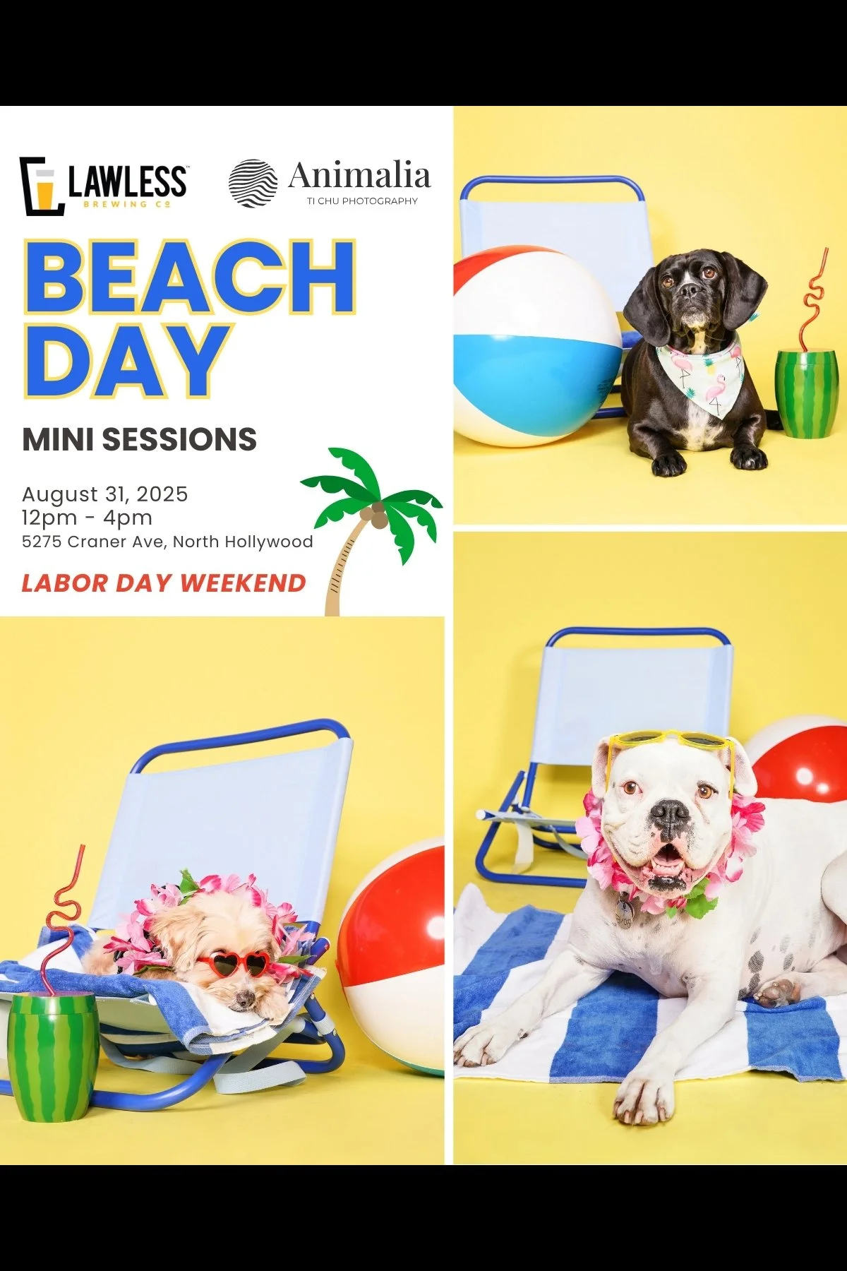 BEACH DAY | LAWLESS BREWING