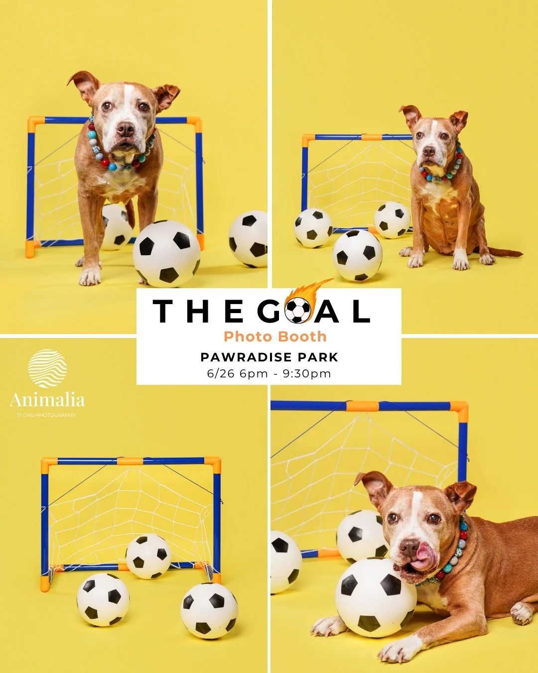 THE GOAL PHOTO BOOTH