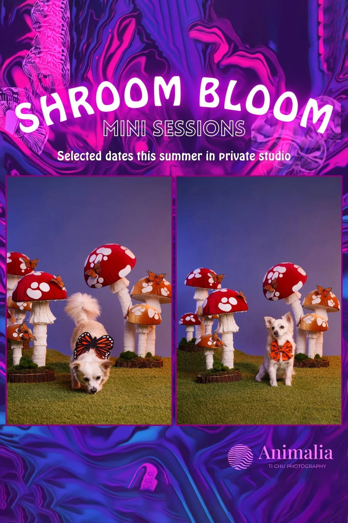 SHROOM BLOOM