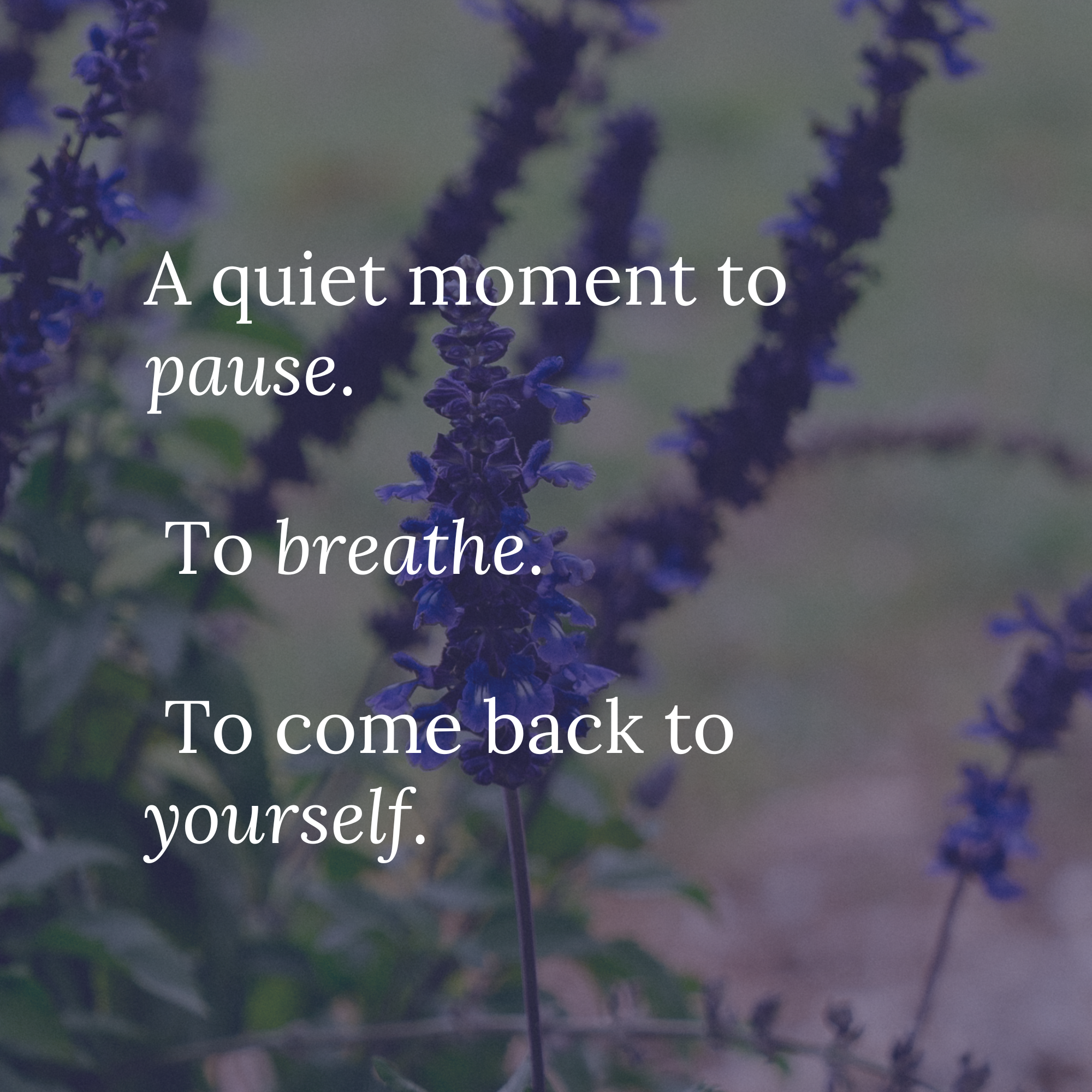 Tuesday 28 April (1).png