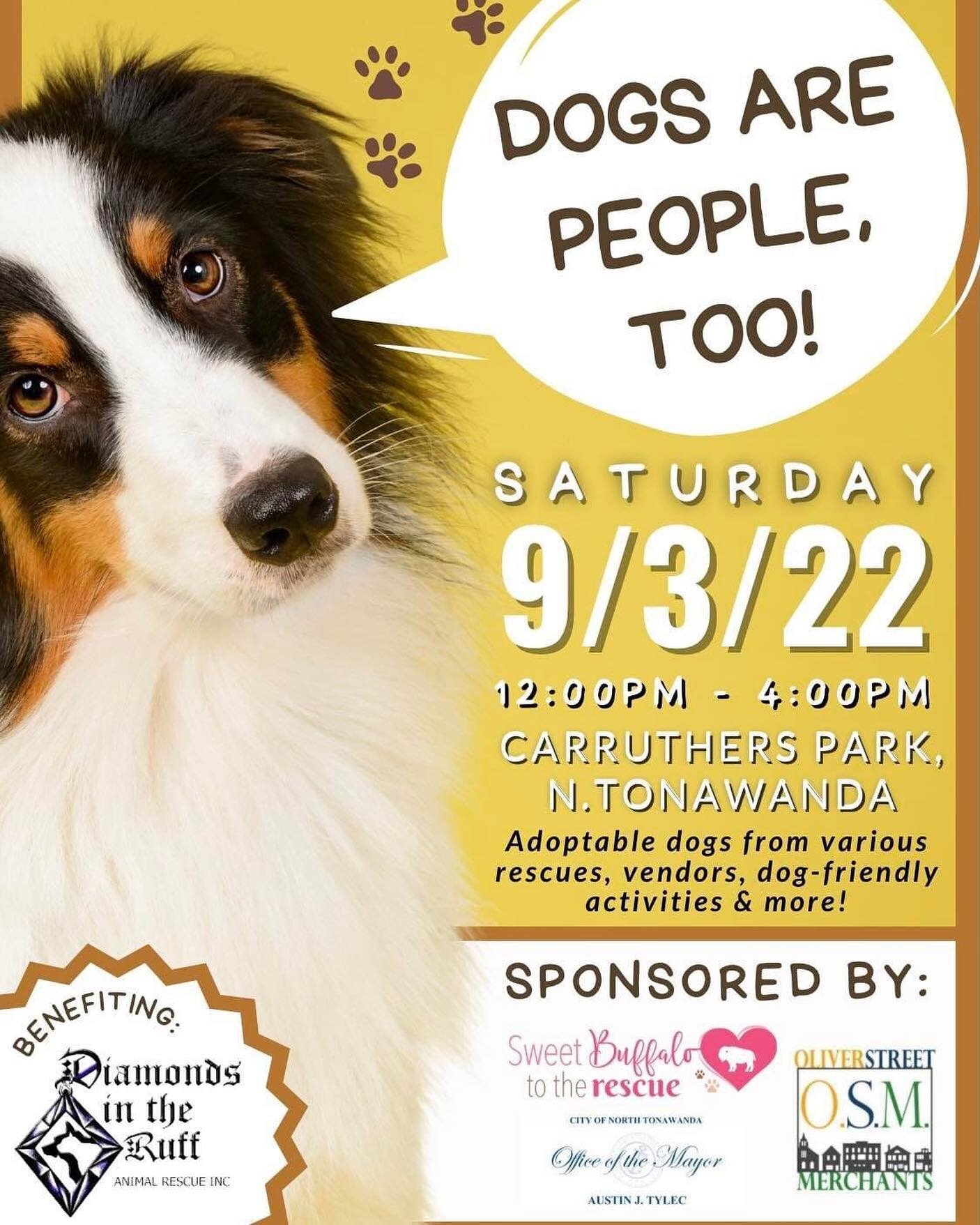 COME VISIT US ON SATURDAY
.
Last year was SO. MUCH. FUN. at Dogs are People, Too, and we&rsquo;re so excited to be invited back. Bring your best buddy, get them a new fall collar, partake in all the super fun activities offered, and don&rsquo;t forge
