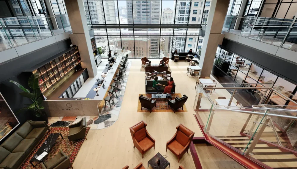 Espino Law Chifley Square office