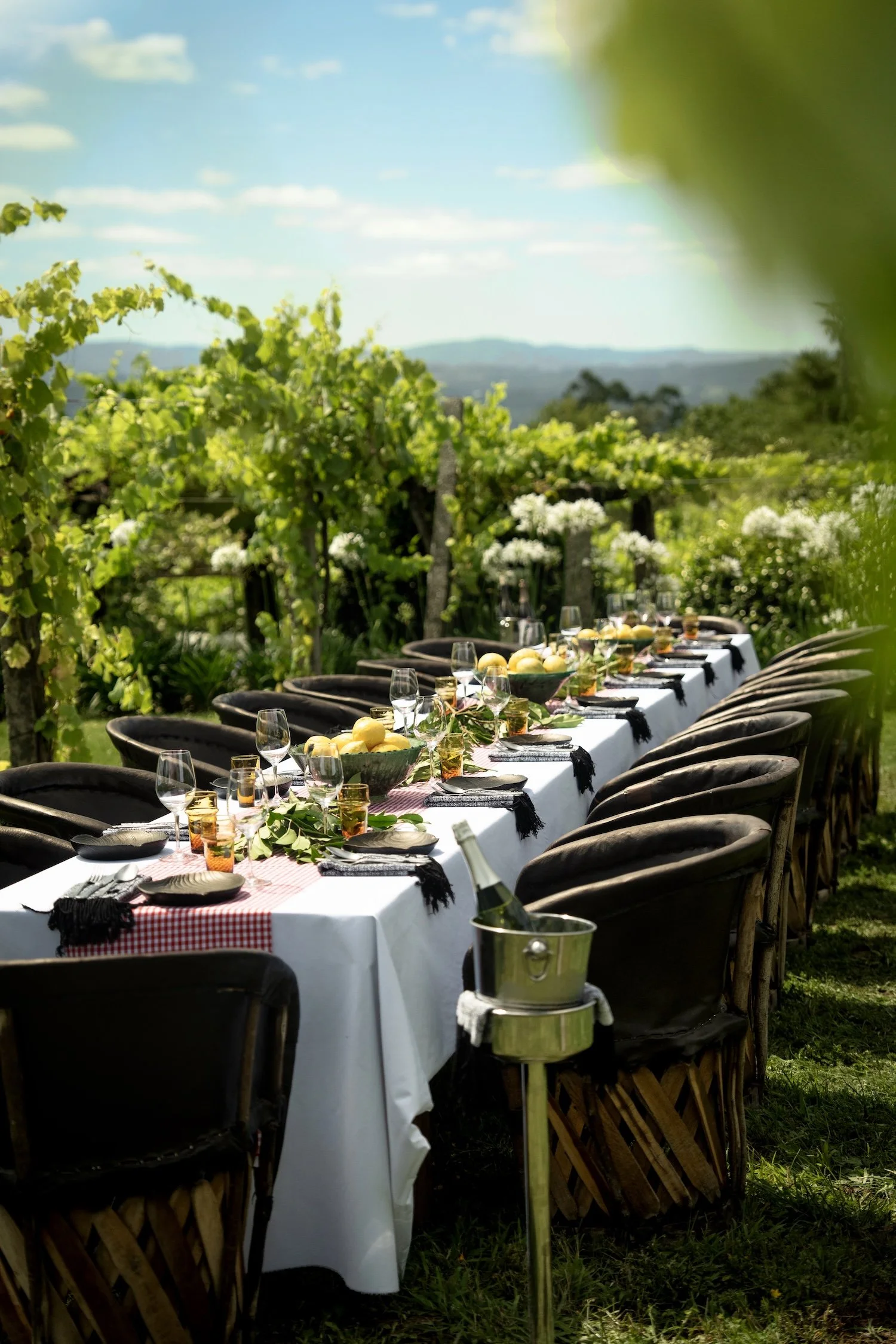 Vineyard dinner.jpg