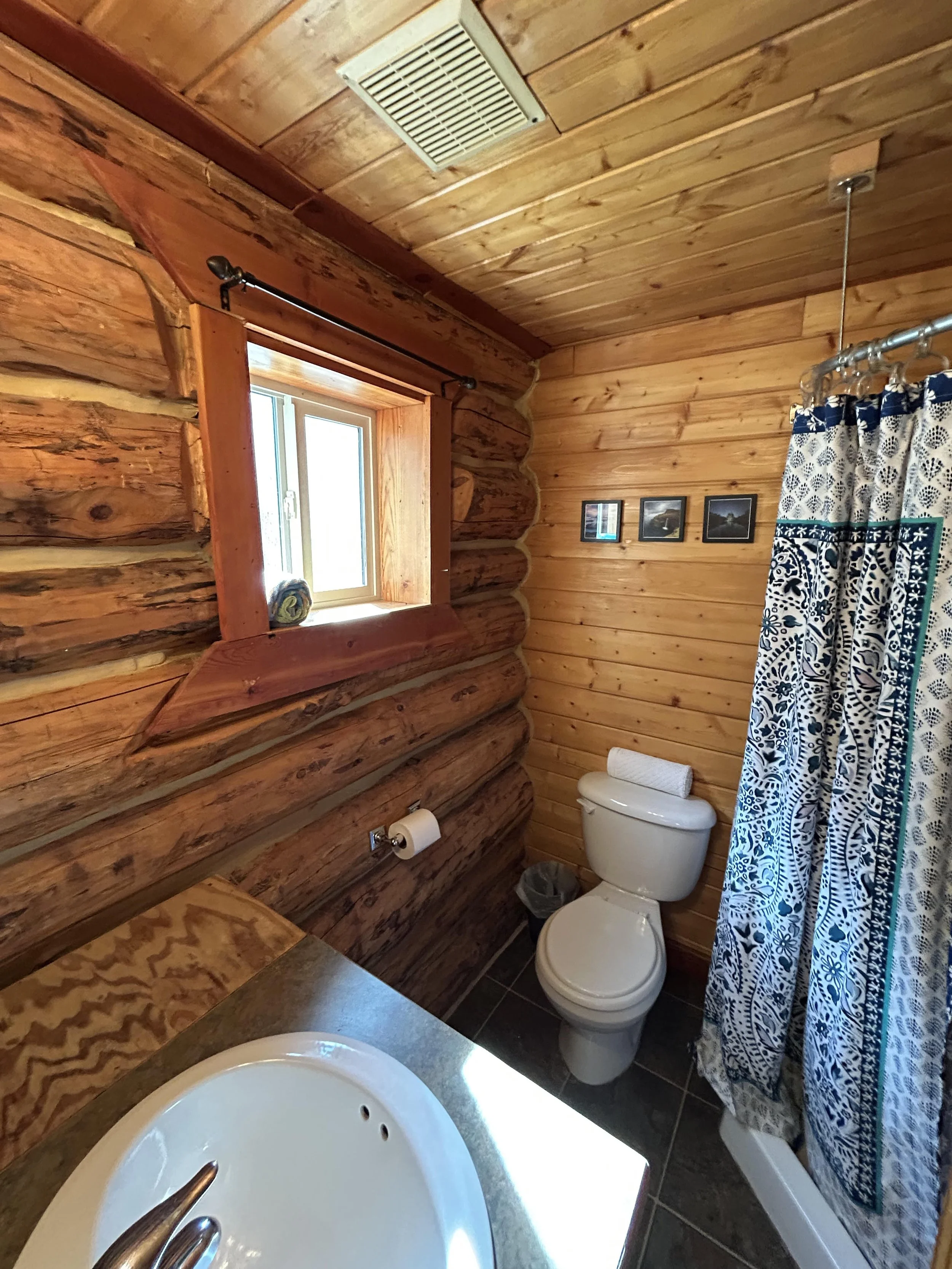 cabin 3 7.jpg