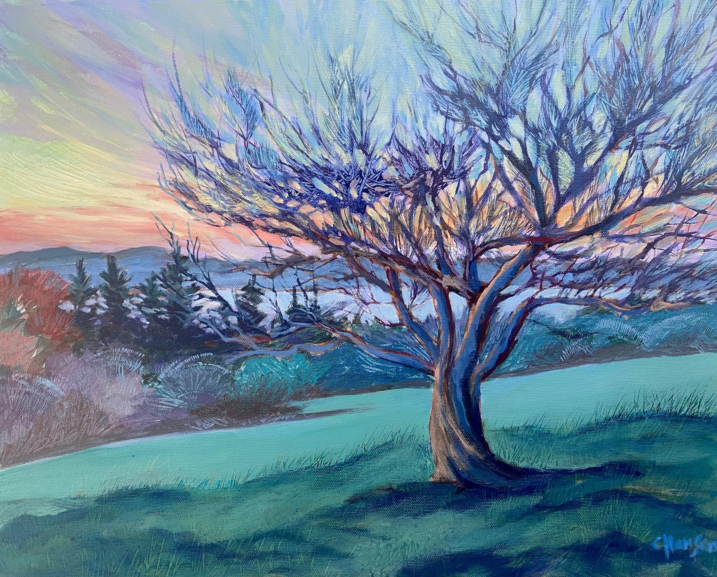 Gallery — Captain's House Gallery