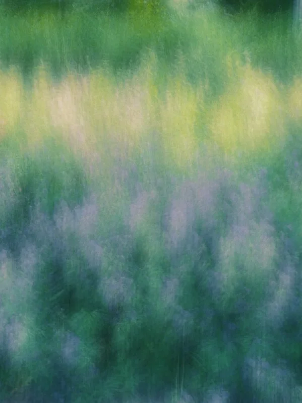   Xianjun Liu,  The Form of Memories , 2021  Screenprint, Digital 11 7/10 × 8 3/10 × 4/5 in | 29.7 × 21 × 2 cm Edition of 15 