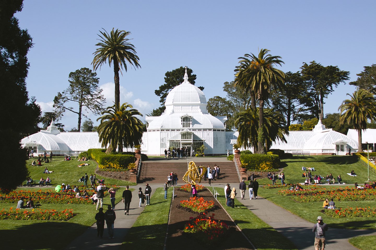 Travels_SanFrancisco_Conservatory_Flowers_PrintClubLtd(1).jpg