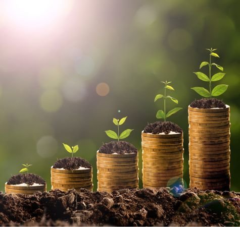 27) Growing Your Portfolio