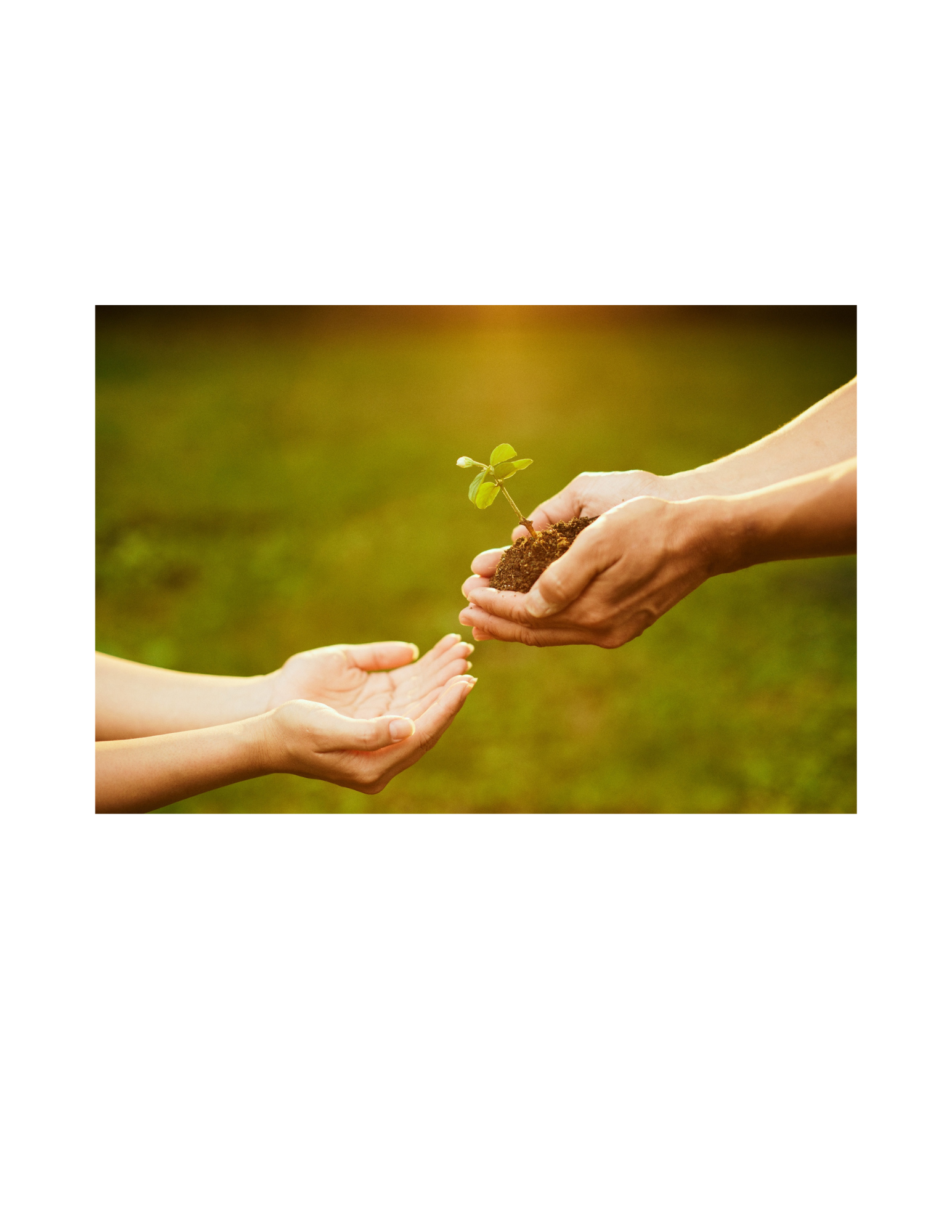 Is Therapy Right for Me? 