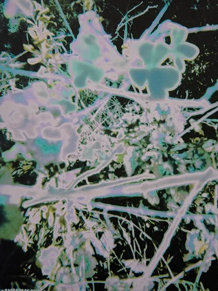 Solarised (Flowering and Blue Abyss), 2025, 3 sets of 3 unique pigment prints (detail), pigment print, blocked printer nozzles performing as oracle, 320mm x 450mm each