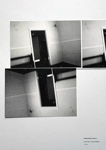 Instagram Stories documentation, Mirror Field, Narooma, 2026