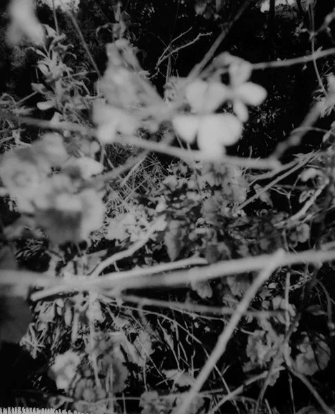 FLOWERING AND BLUE ABYSS, 2021-2025, Pigment print from original Polaroid, 800mm x 990mm, Edition of 5