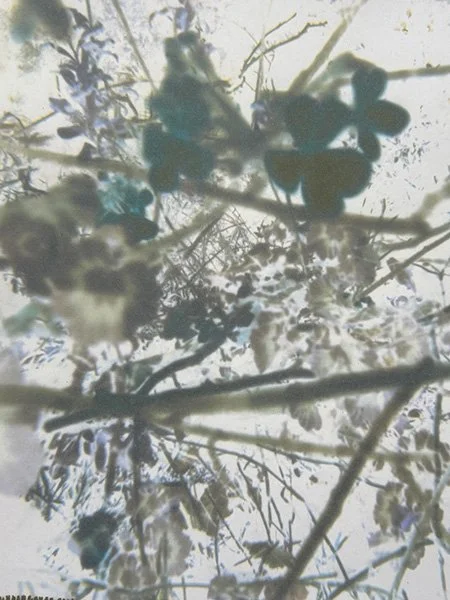 Oracle (Flowering and Blue Abyss), 2025, Series of 20 unique ephemera prints (detail), pigment print (blocked printer nozzles performing as oracle), 320mm x 450mm