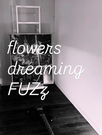 Flowers dreaming fuzz installation