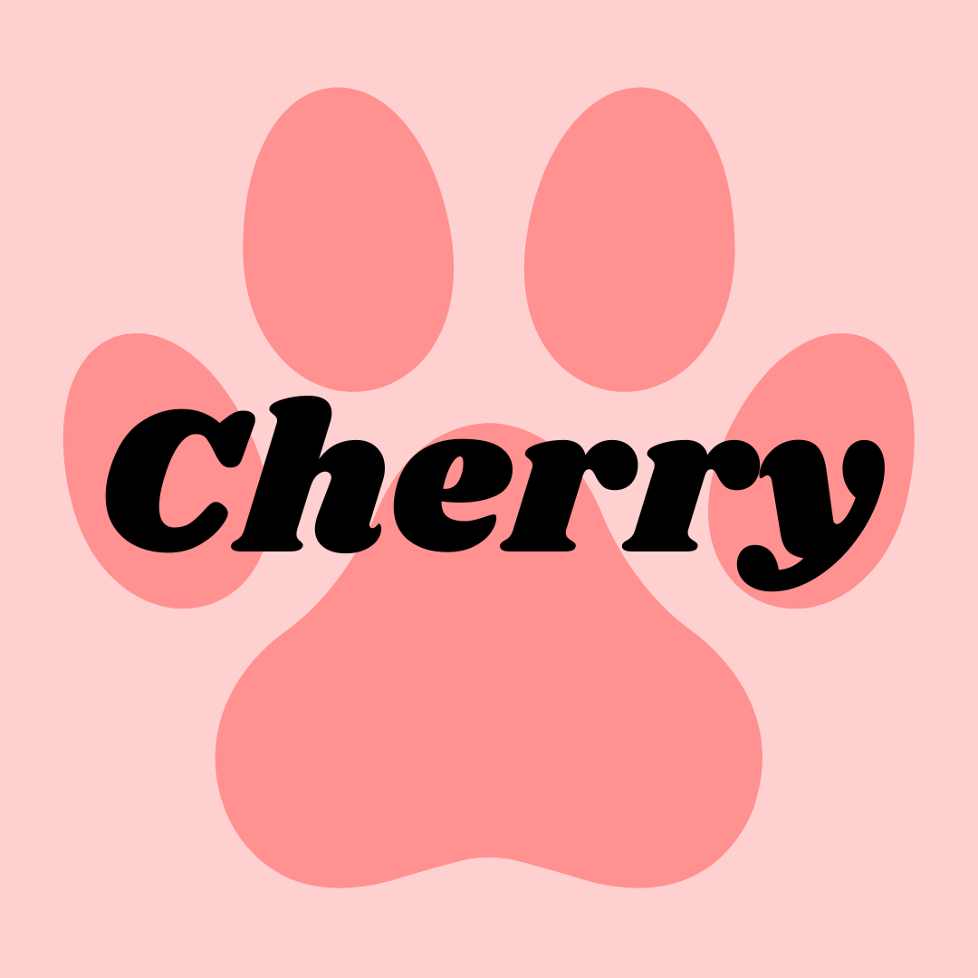 Flavors — Sugar Mutt Cotton Candy