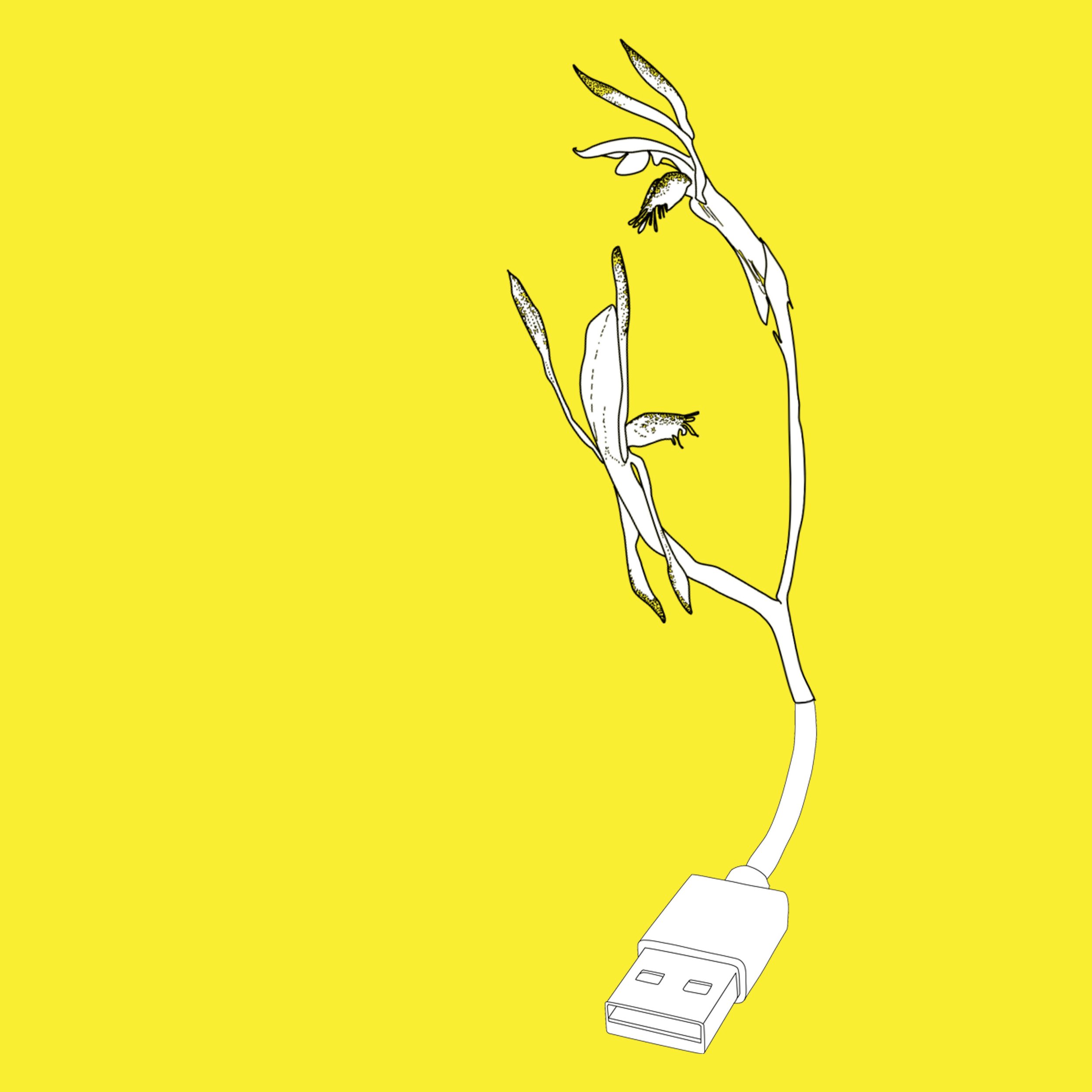 DIY SPECULATIVE TECH WORKSHOP WITH ANA TIQUIA