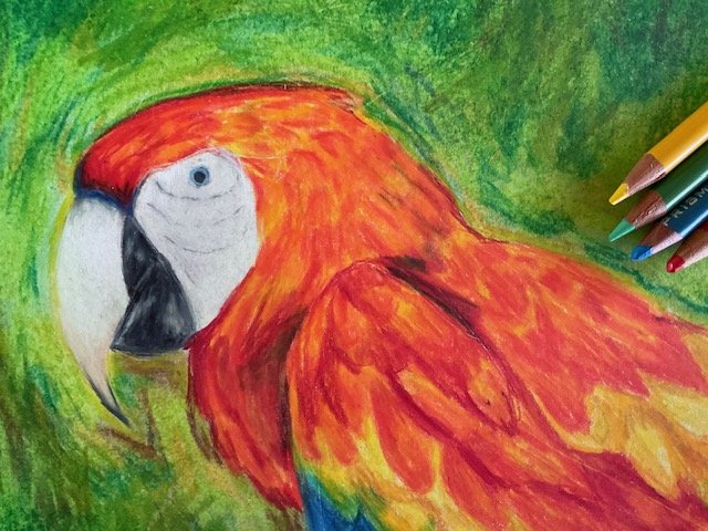 *SOLD OUT* KickArts: Animal Portrait Artistry 8-14 years