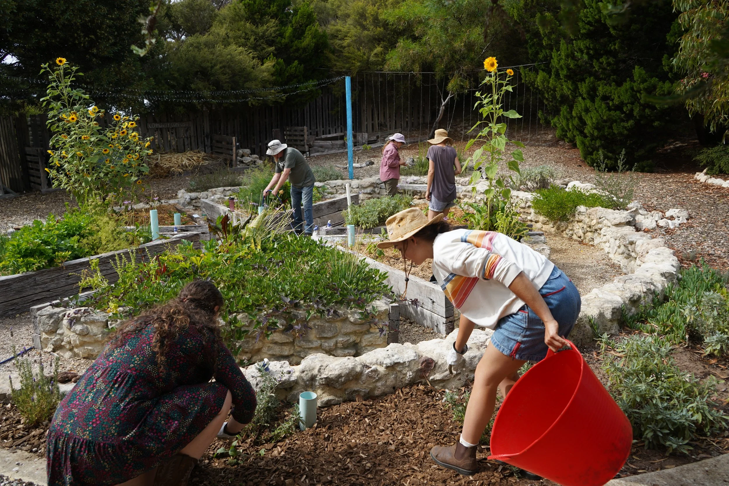 Forage Garden Reactivation Project