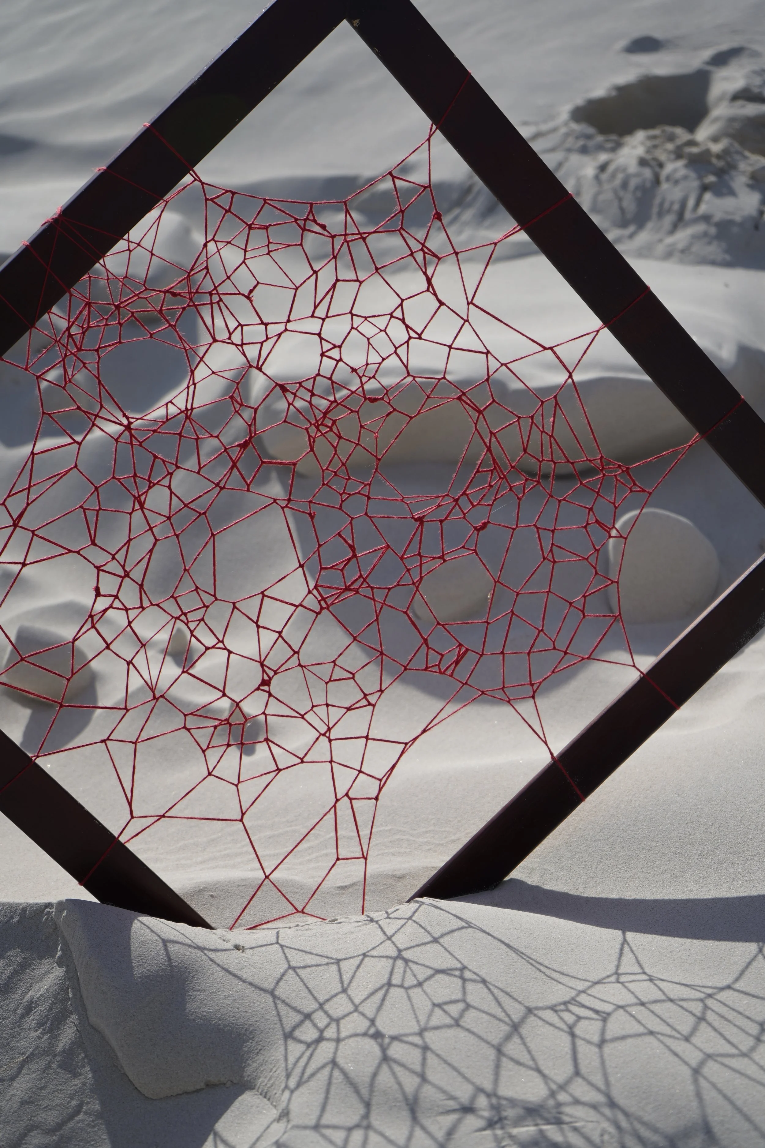 WEBBED JOURNEY WITH LEA