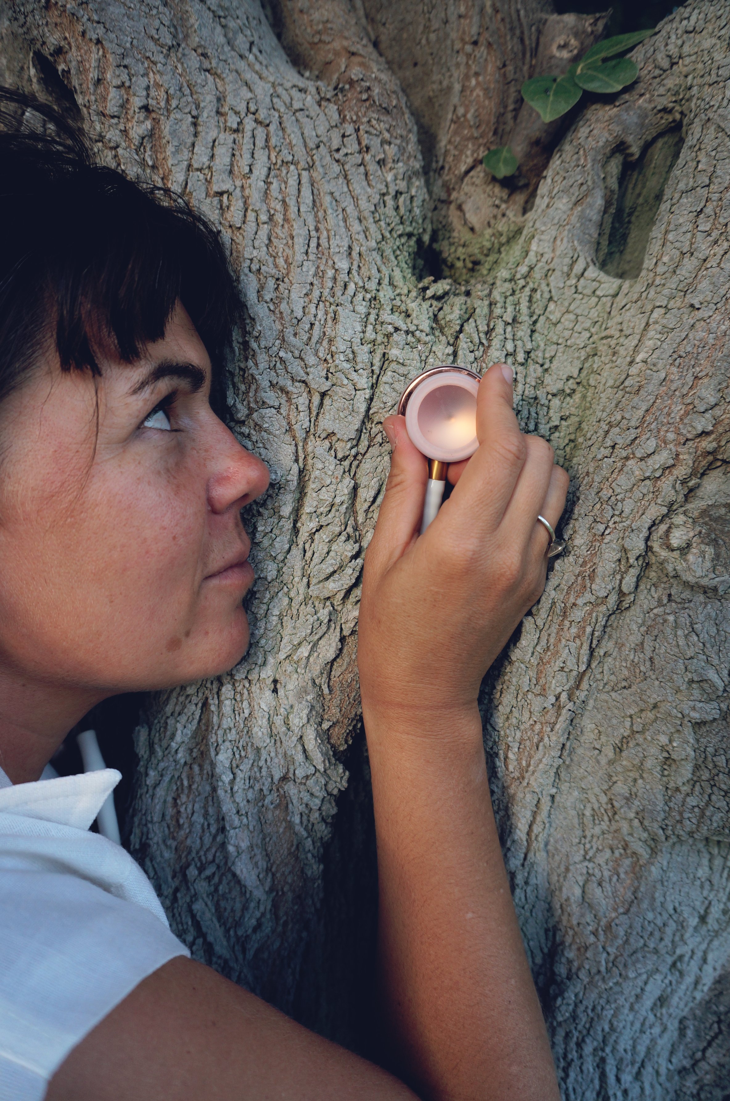 Alex Desebrock : Tree Listening