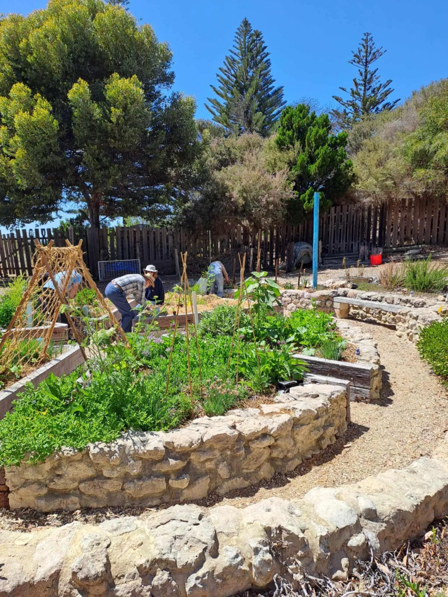 GATHER &amp; GROW - Social Gardening and Morning Tea at Forage