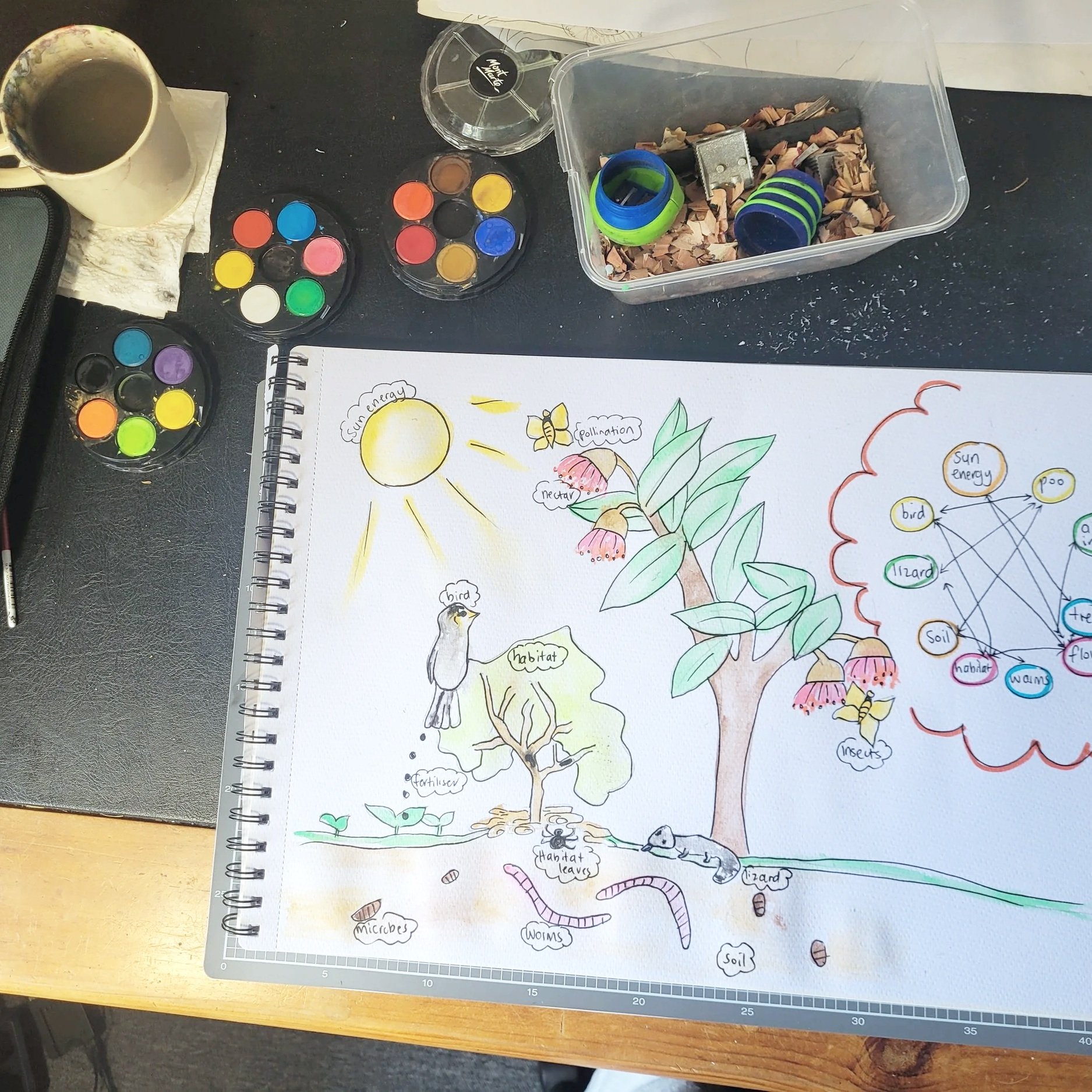 KickArts: Energy in Ecology 8+