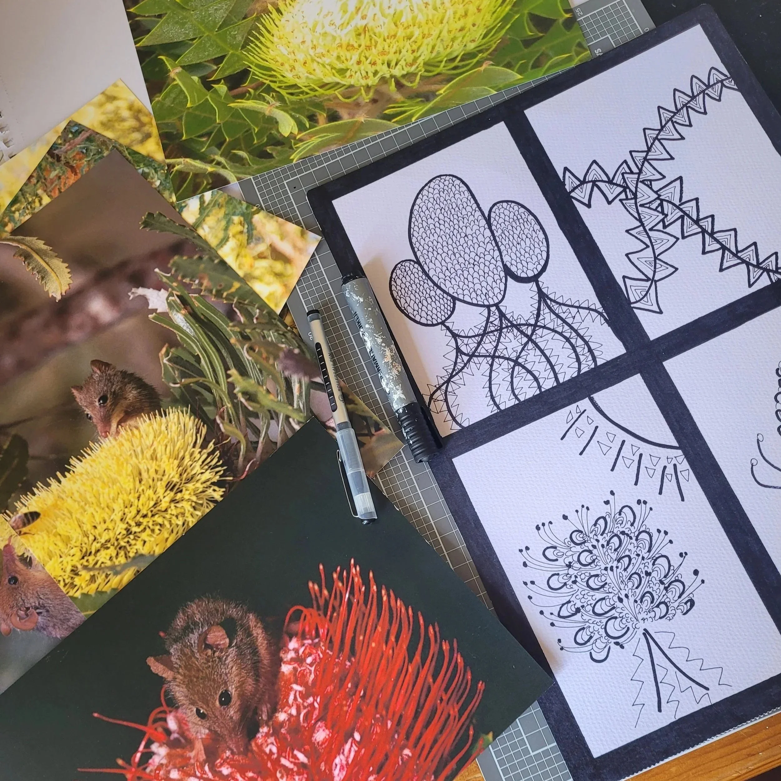 KickArts: Geometric Banksias 5+
