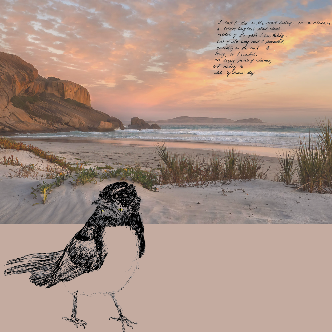 One Nature: Two Views