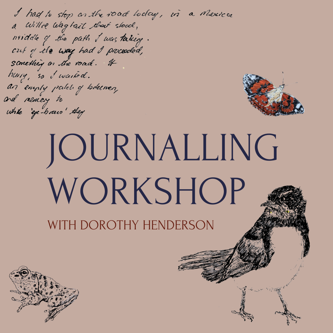 Journalling &amp; Noticing with Dorothy Henderson