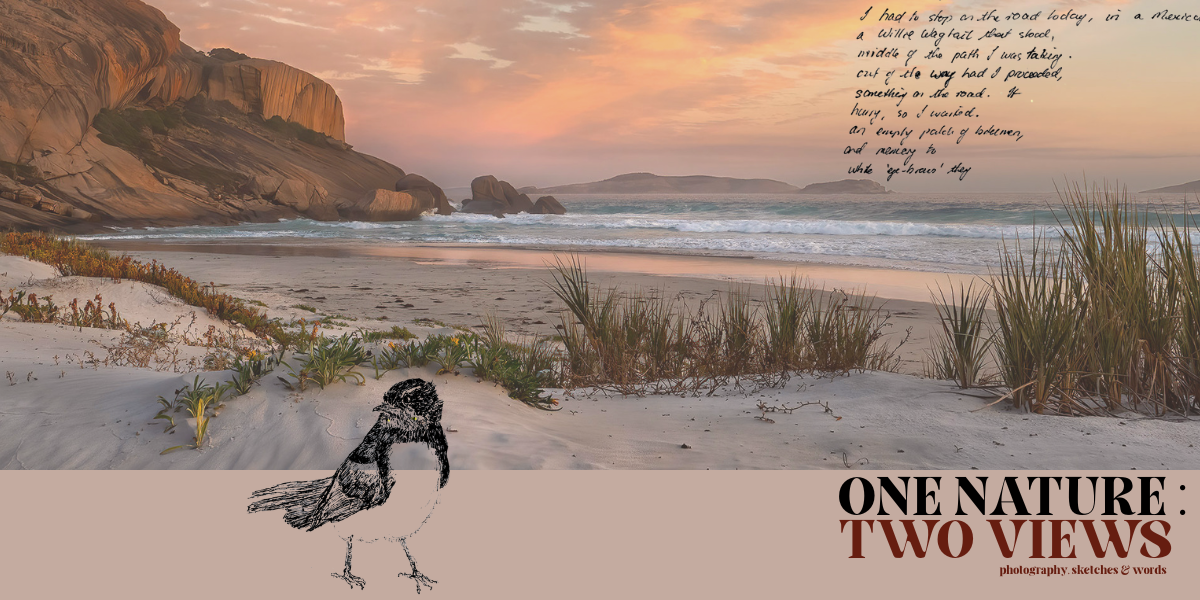 Next in the Main Gallery