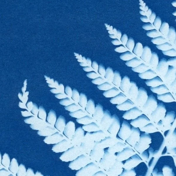 Art Lab x The Hobby Collectors : Cyanotype Printmaking Workshop