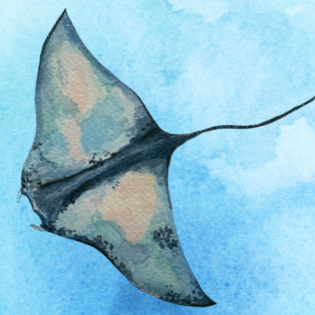 Art Lab: Principles of watercolour
