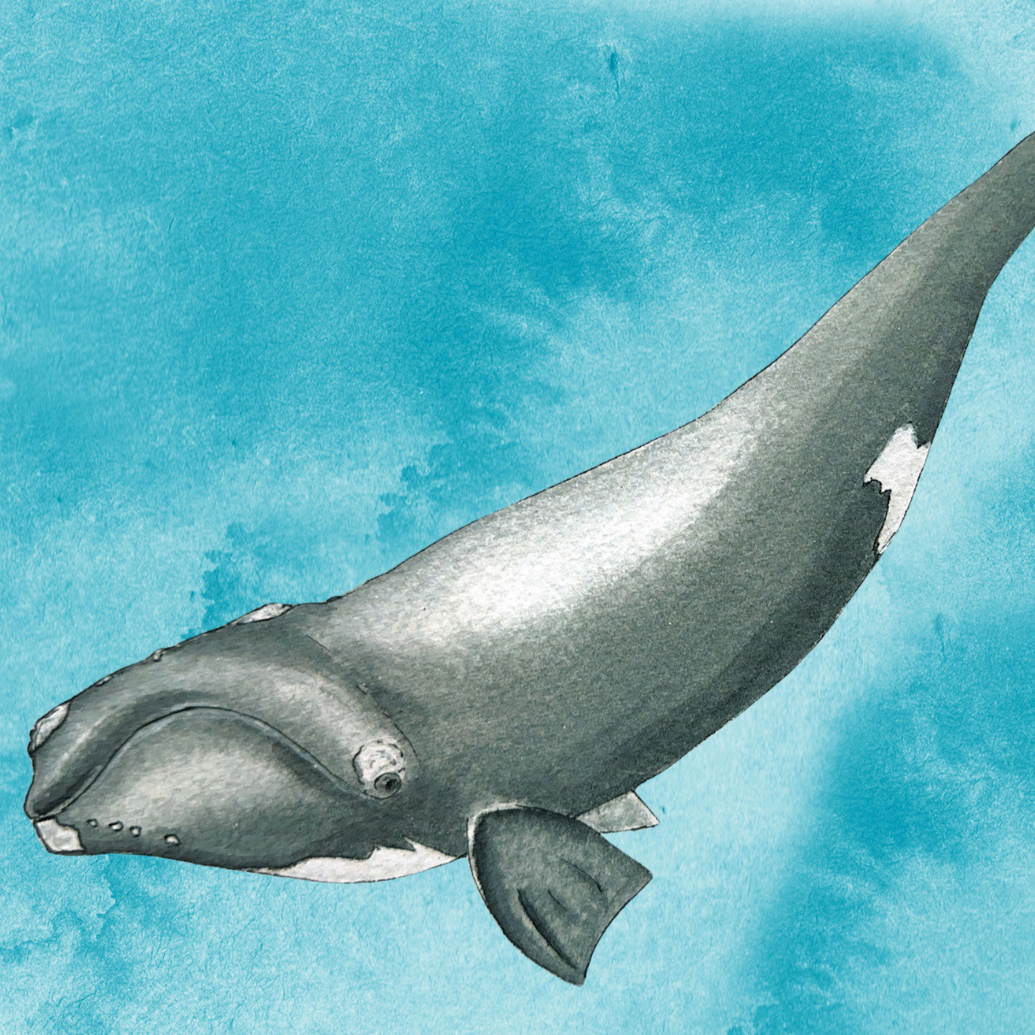 Art Lab: Principles of watercolour