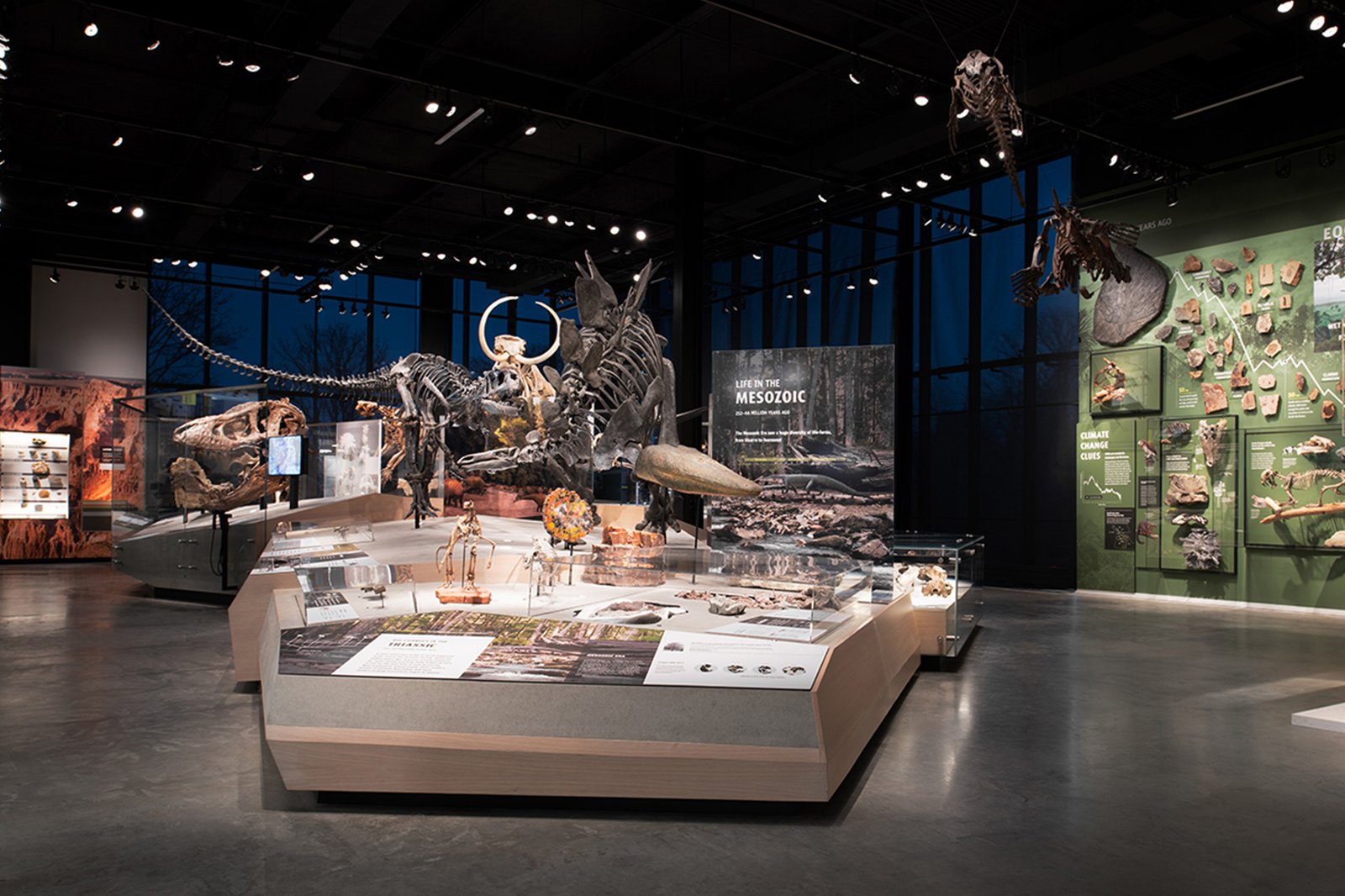 university of washington burke exhibits - olson kundig