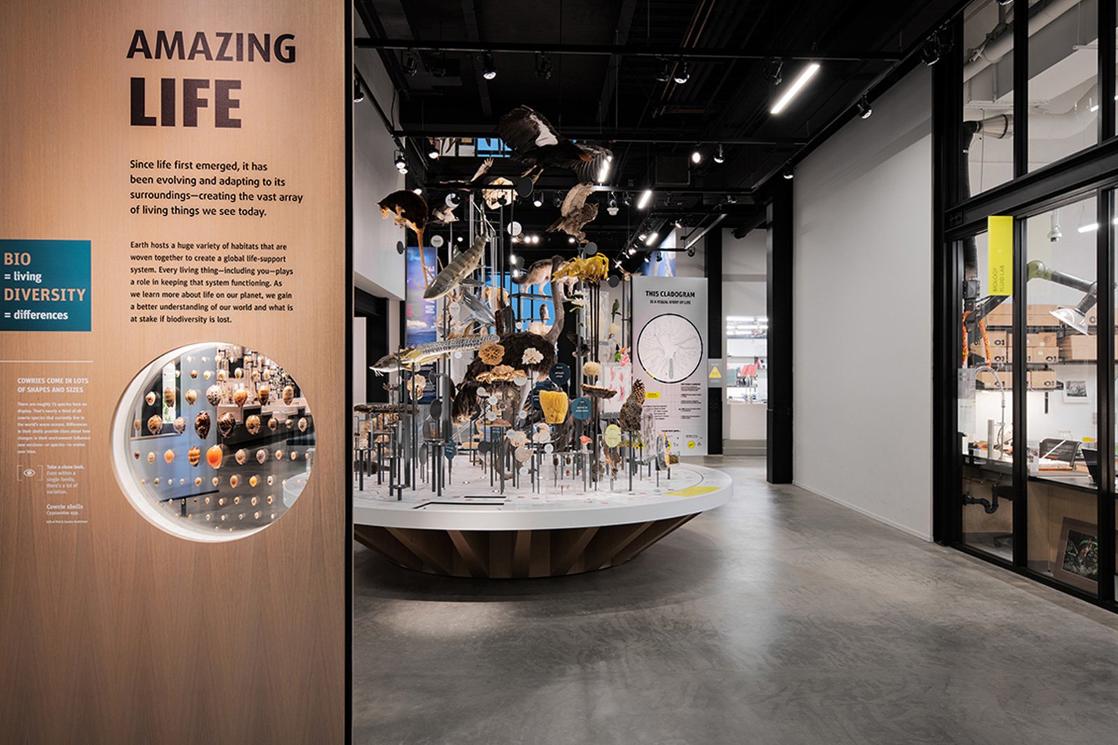 university of washington burke exhibits - olson kundig