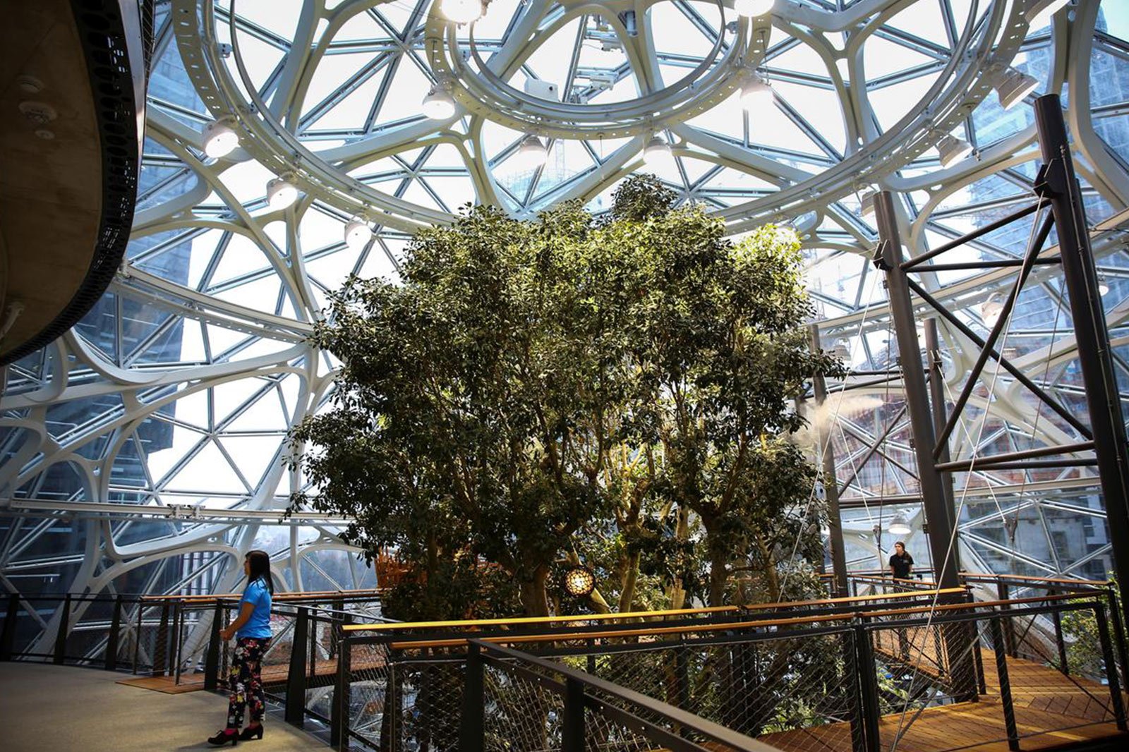 amazon the spheres - nbbj