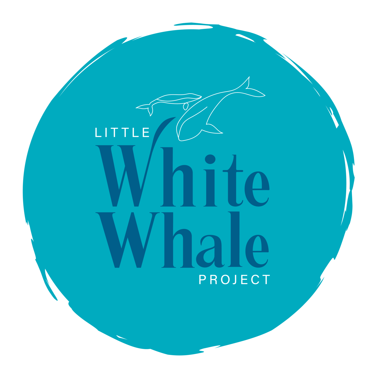 Little White Whale Project 