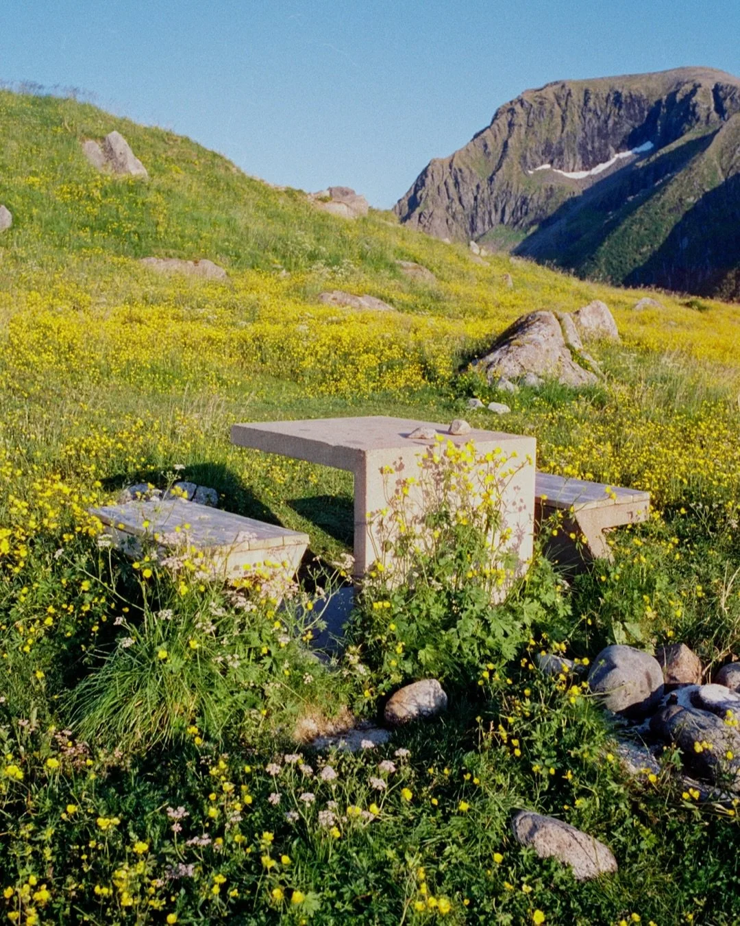 Our time in Lofoten. Serene and otherworldly. 

Picked these photos because they feel like how it felt to be there.