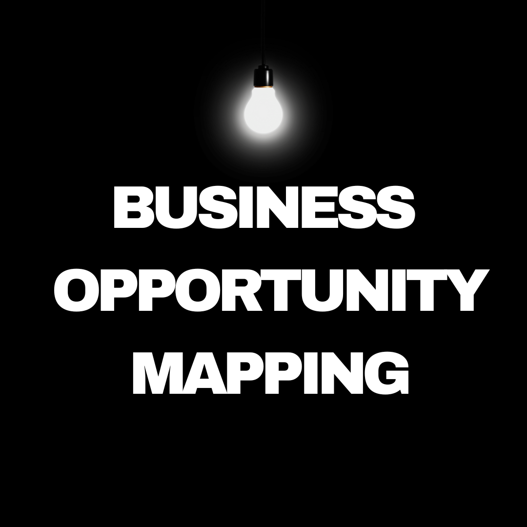 Business Opportunity Mapping.png