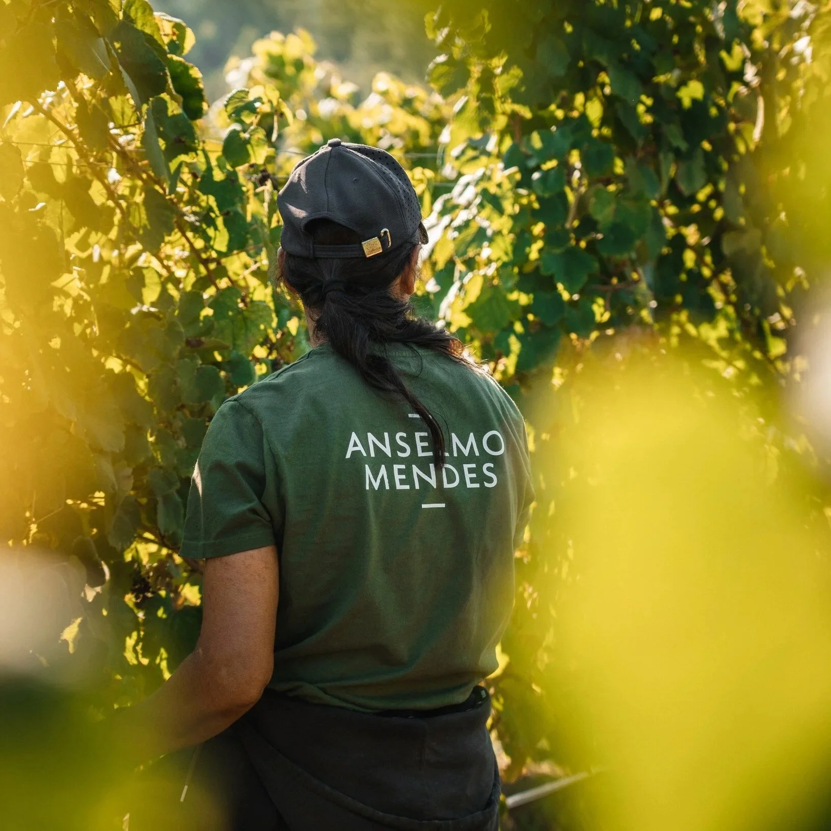 Winemakers Dinner med Anselmo Mendes - 29. januar 2026