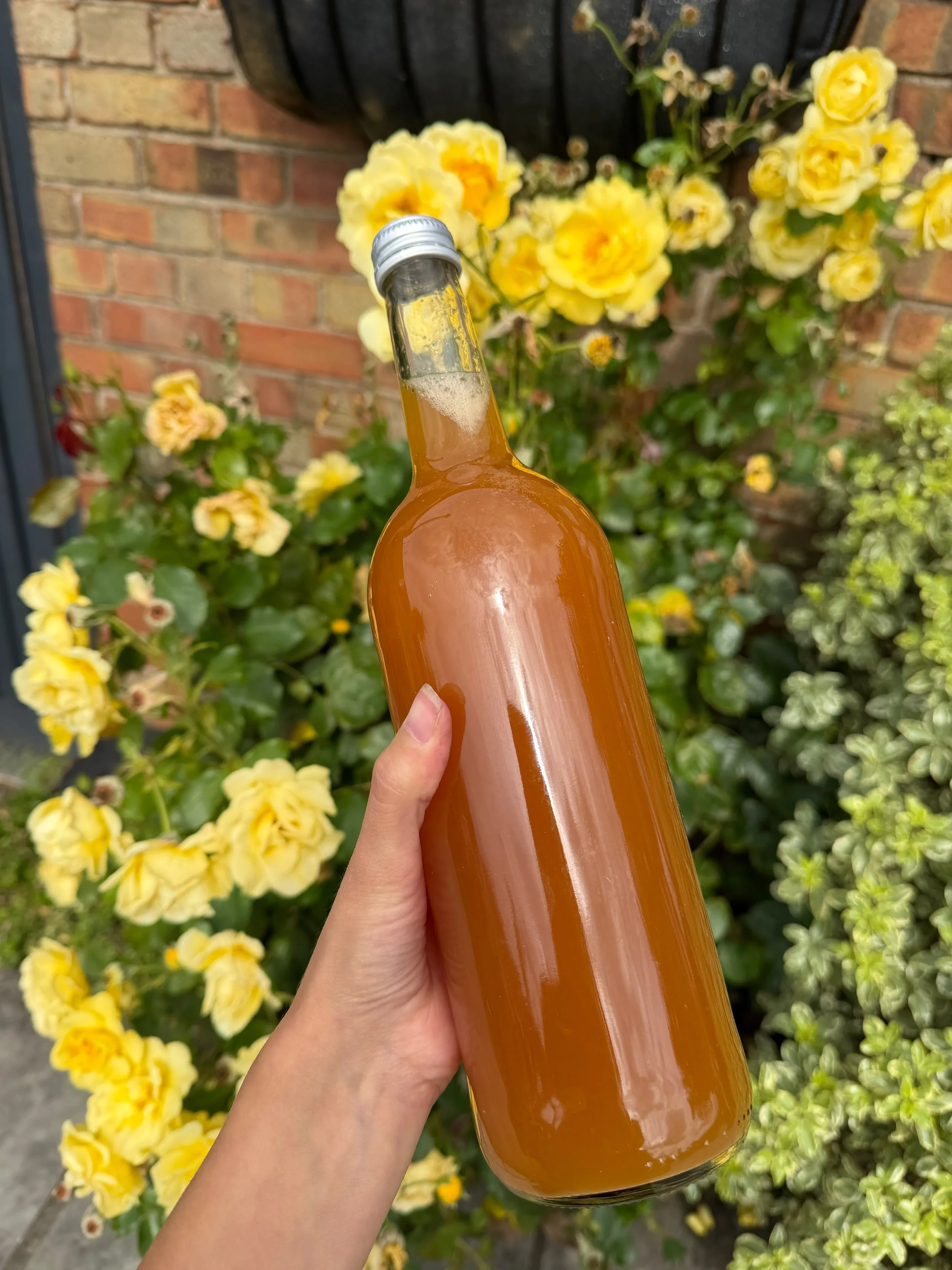 Many Hands Market Bring Harvest Home
